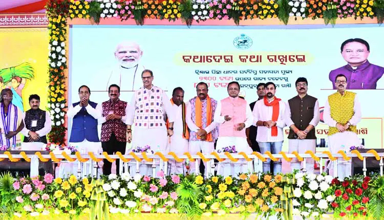 ସୋହେଲା ରେ କ୍ୱିଣ୍ଟାଲ ଧାନ ପିଛା 2300 ଟଙ୍କାର ରାଜ୍ୟ କୃଷକଙ୍କୁ ବଣ୍ଟନ ଆରମ୍ଭ କରିଲେ ରାଜ୍ୟ ସରକାର।